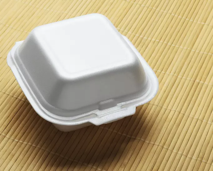 Styrofoam Takeaway Box