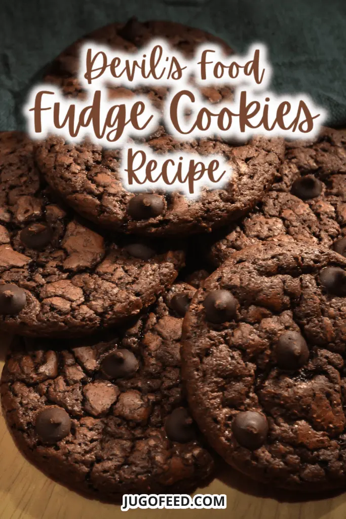 Devil_s Food Fudge Cookies - Pinterest